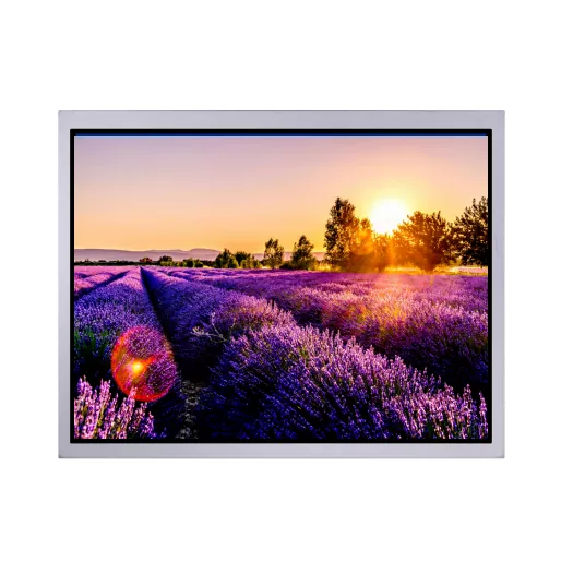 Apa kaluwihan modul TFT padhang kanthi layar tutul